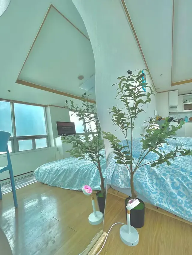 [신규] 홍대입구역 9초美麗的漢江日落景觀-弘大入口站步行3分鐘 美麗的日落城市景觀 | 5人入住-4