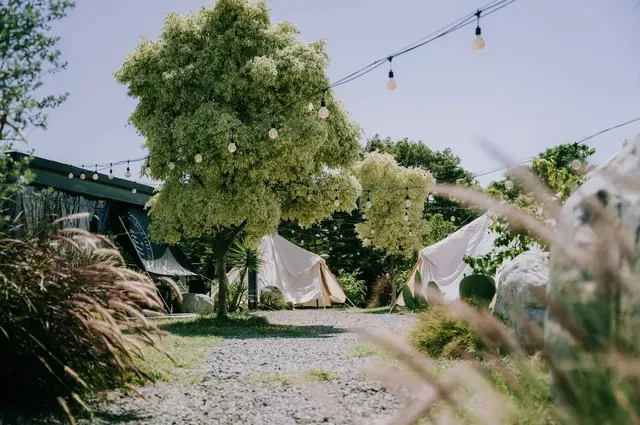 自然圈農場｜一泊三食二體驗-曠野圈｜平日 4 帳包區-1