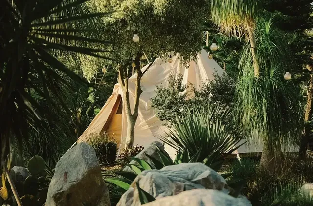 自然圈農場｜一泊三食二體驗-曠野圈｜週五六 4 帳包區-4