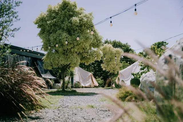 自然圈農場｜一泊三食二體驗-曠野圈｜週五六 4 帳包區-2