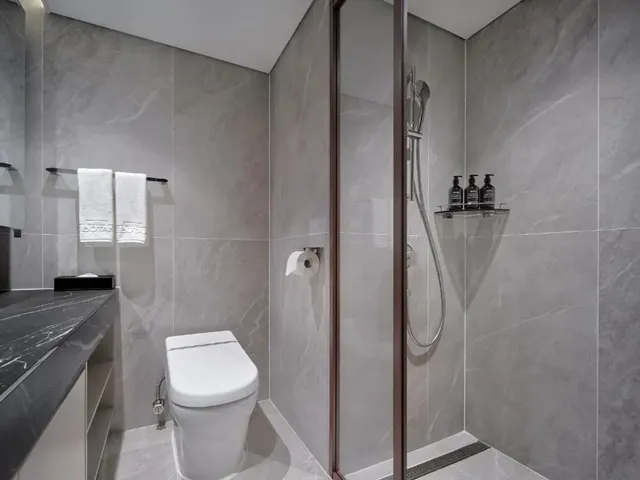 HOTEL THE BOTANIK SEWOON MYEONGDONG  (한국인 예약 불가 상품)-尊貴豪華家庭房(兩床)-7