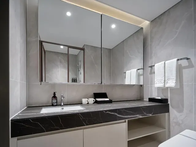 HOTEL THE BOTANIK SEWOON MYEONGDONG  (한국인 예약 불가 상품)-尊貴豪華家庭房(兩床)-9