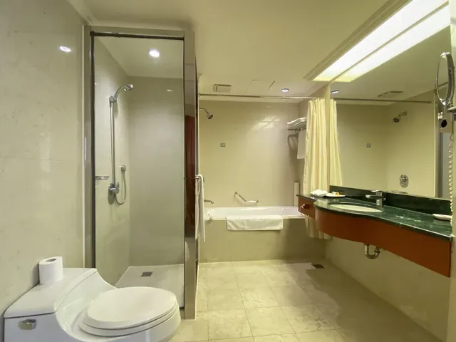 桃園尊爵大飯店 Monarch Plaza-尊爵豪華套房-6