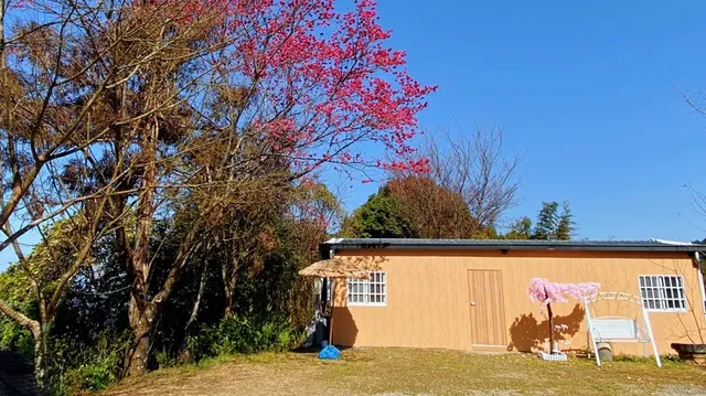 馬月台露營區 | 百萬夜景絕佳觀賞點、寵物友善營區-山景套房-2