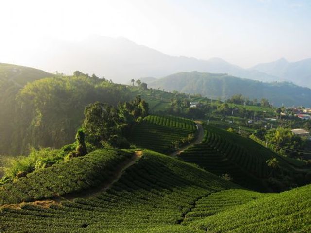 Doris Forest Homestay-Quadruple Room with Mountain View-6