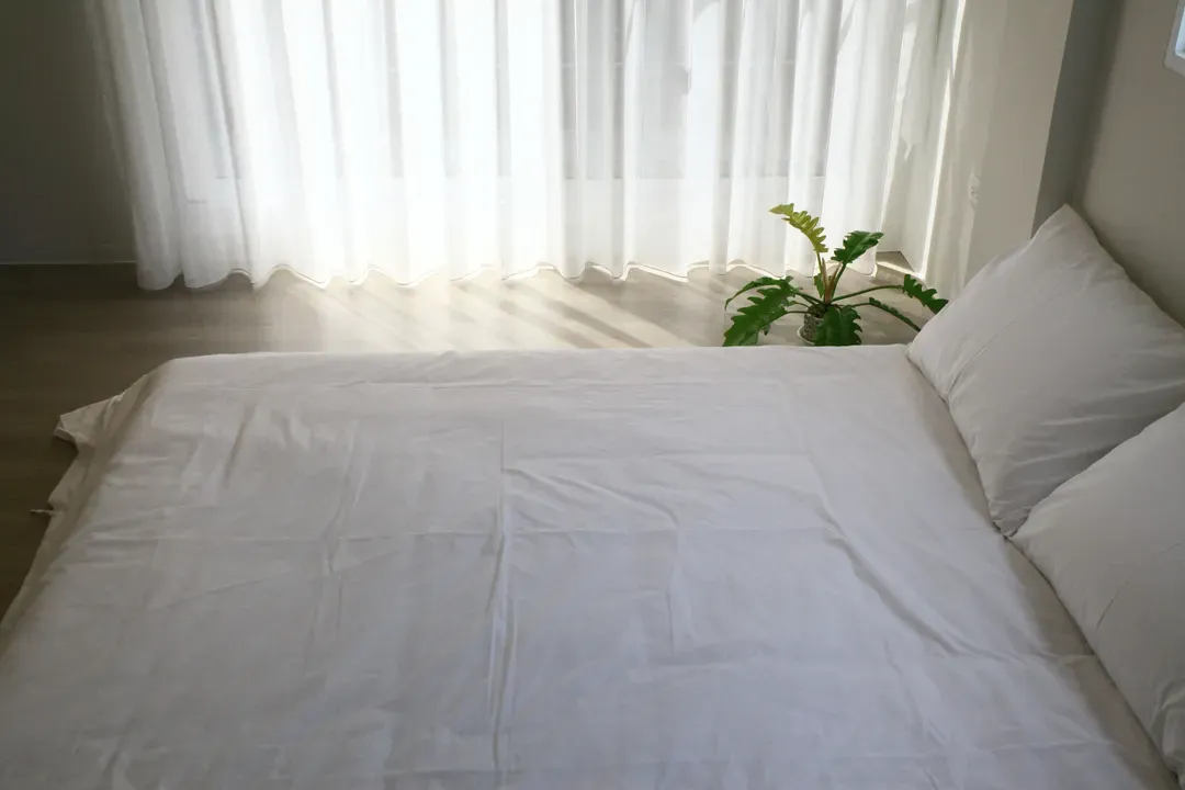 Mumu house