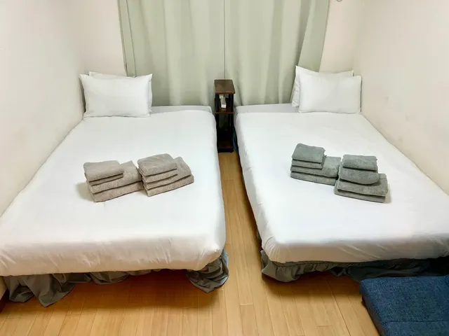 Fuji Flat-101-4
