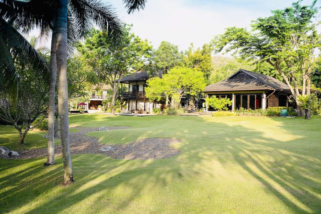 garden