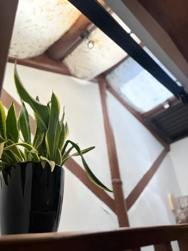 捉鳳凰.倚鳳閣.鳳凰別院｜台南百年老宅系列:可2-14人包棟、提供停車、台南精華地帶-{一館百年老宅~捉鳳凰}:六人包棟-12