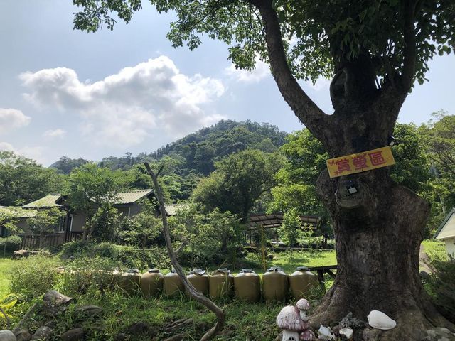 蓬萊生態農場仙山民宿-二人房 l 純住宿-6