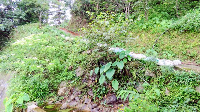 風雅月筑休閒渡假民宿 | 淇岄莊園 | 可選購19人包棟-景觀8人房-6