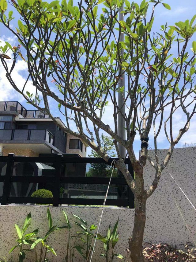 窗外