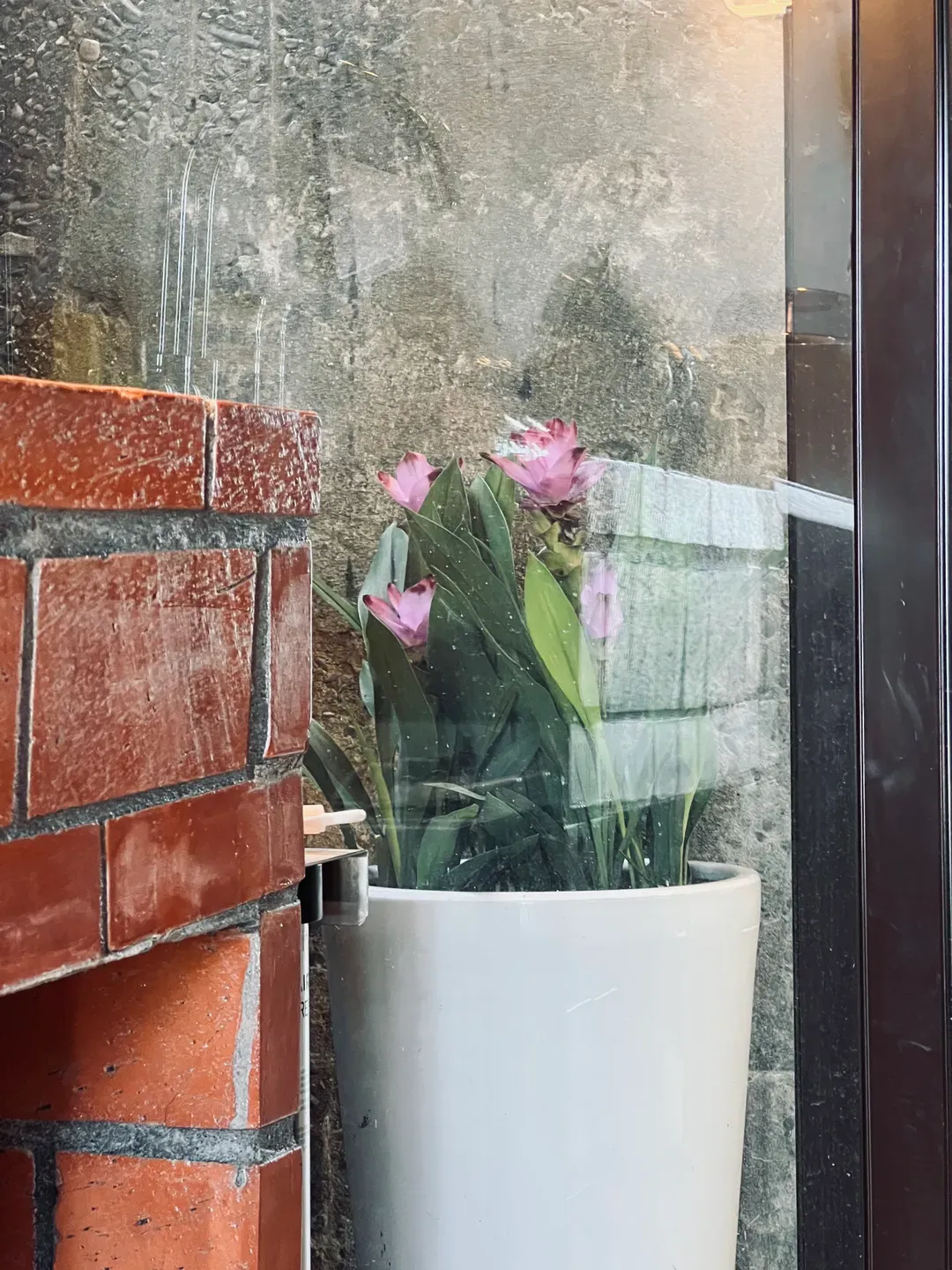 Jiufen Xiaomei Meow Seaview Homestay