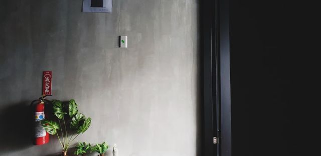 레오 111 (Kaohsiung Leo111 Pier-2 hostel) 【가오슝 감성숙소 Top 10 】-Jungle-10