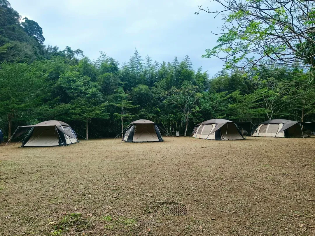 미카츠키 타니 온천｜젠스 온천 · 귀여운 동물 존