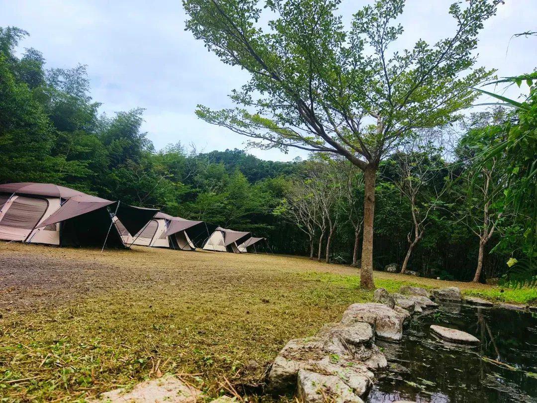 미카츠키 타니 온천｜젠스 온천 · 귀여운 동물 존