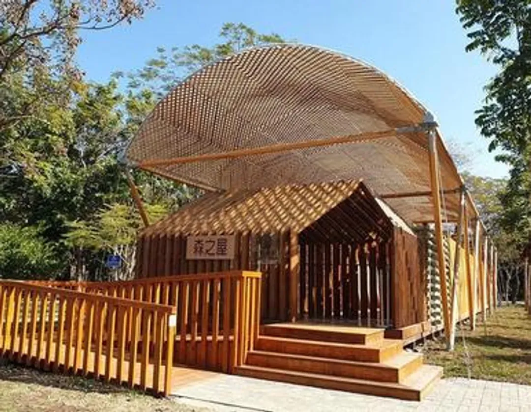 [High-Speed Rail Holiday] A one-day itinerary including Taichung Lavender Forest, Dongshi Forestry, and Fengjia Night Market.