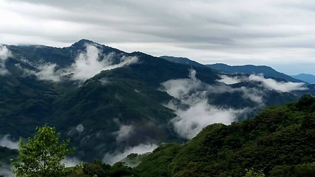金蘭小築 | 可16人包棟 | 烤肉 | 近奮起湖老街-觀嵐-6