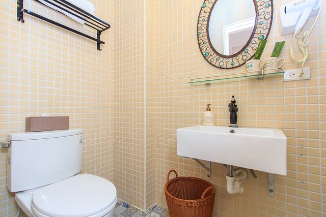 Turtle Dove-Egret French style 2-3 person room-9