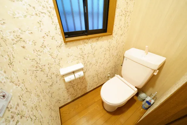 Toilet2