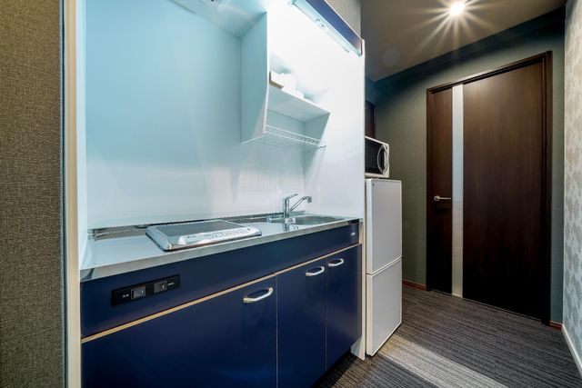 After you enter the room, you will see the small kitchen space with kitchenette, microwave, electric kettle and refrigerator.  The wash room is to the opposite side.