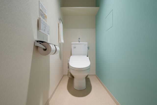 This room has a separate toilet with a washlet.