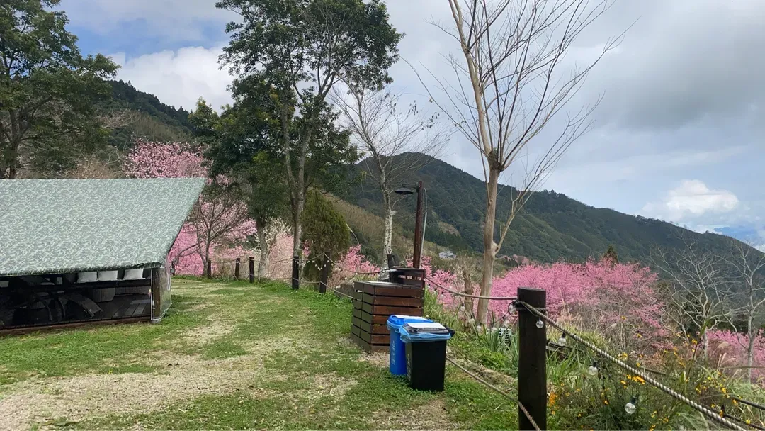 Ruyan Camping