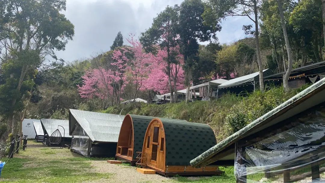 Ruyan Camping