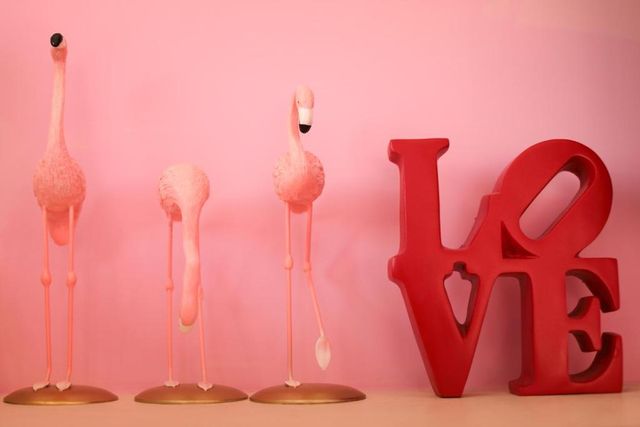 Shi Guang BnB-Romantic Pink Double Room-2F-5