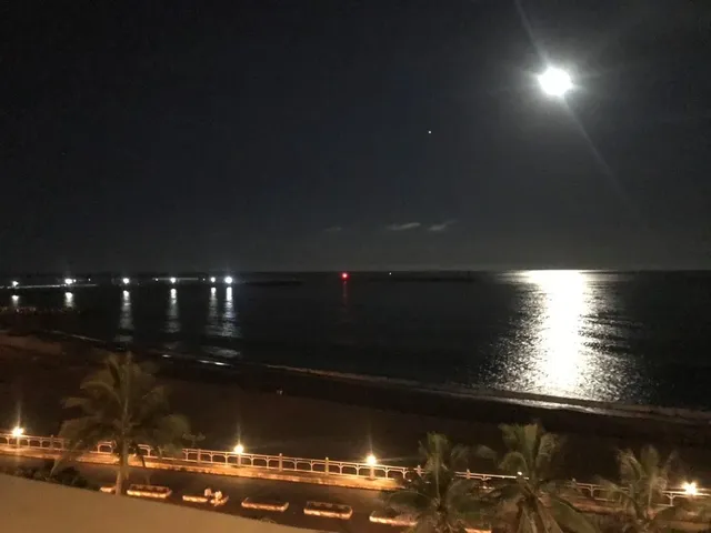 諾丁漢海景民宿-頂級海景四人房-15