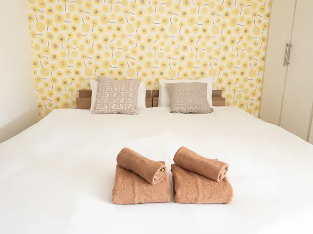 RISE HOTEL SHINJUKU-702－黃花客房｜4人入住｜大床（Queen Beds）｜40㎡-2