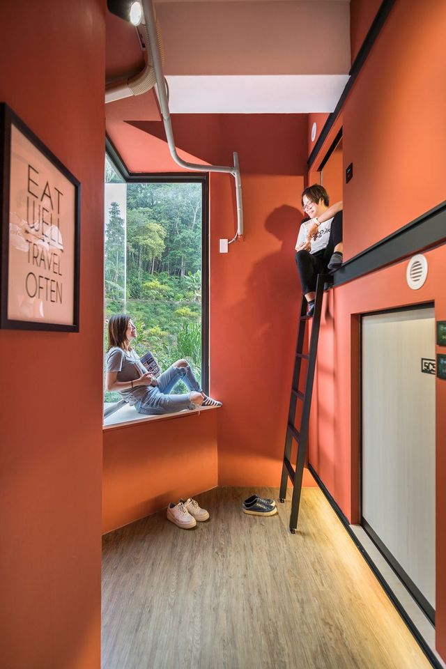 OWL Hostel Room