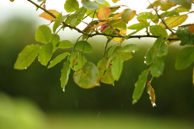 坲卡夏莊園民宿-106坲卡夏豪華雙人房-3