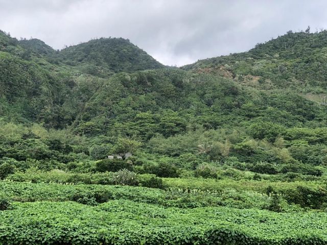 美人魚民宿-美人魚雙人房-3