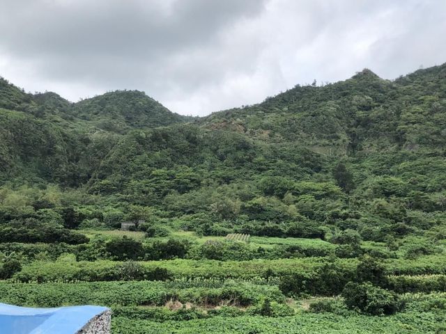 美人魚民宿-美人魚雙人房-6