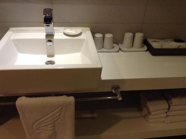 力麗哲園會館-日潭館 | 伊達邵碼頭-豪華湖景四人房-5