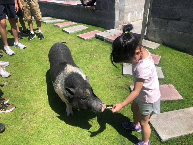 親水89饗樂民宿-四人房-10