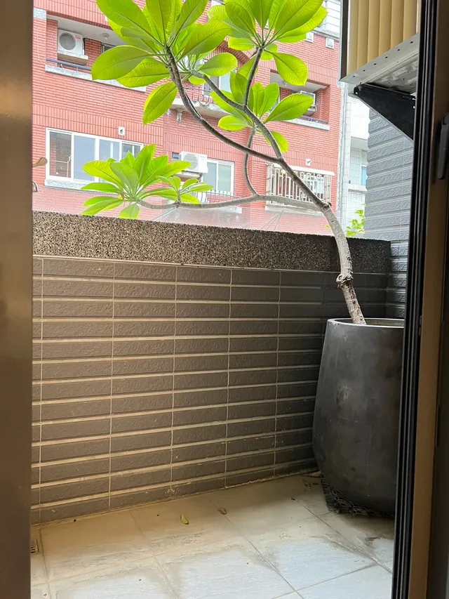 豪華雙人房06
