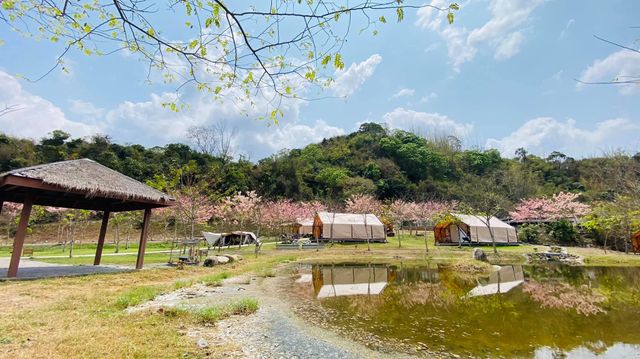 遠山望月溫泉露營區｜9/6前入住送$1199晚餐、美人湯屋、露營車-【豪華露營】豪華狩獵帳-9