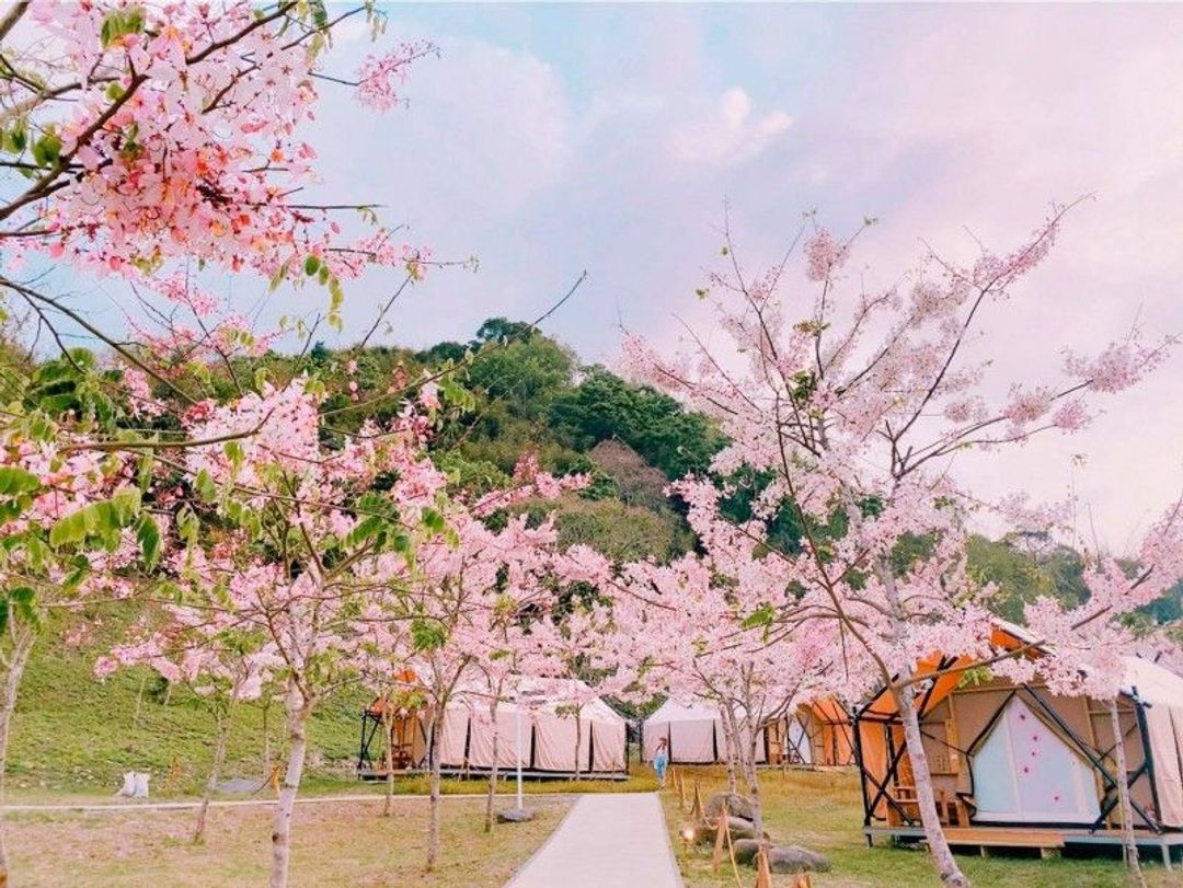 远山望月温泉露营区｜9/6前入住送$1199晚餐、美人汤屋、露营车