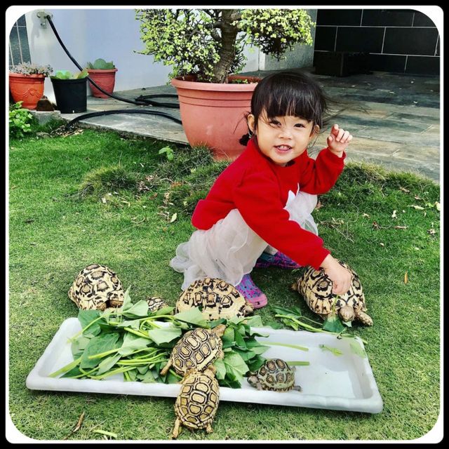Penghu Le Nao B&B 2-12-person private dormitory｜Double room*2, Quadruple room*2-5