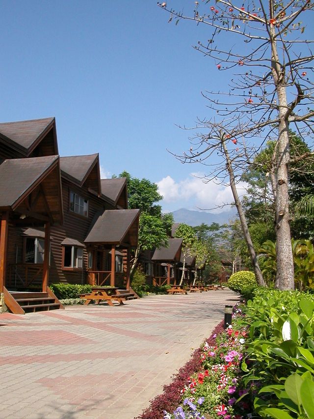 Taitung Bear Villa Village l Taitung 2-10 people independent wooden house | Meal special offer | BBQ-Ten-person three-bedroom house ll Included Breakfast-9
