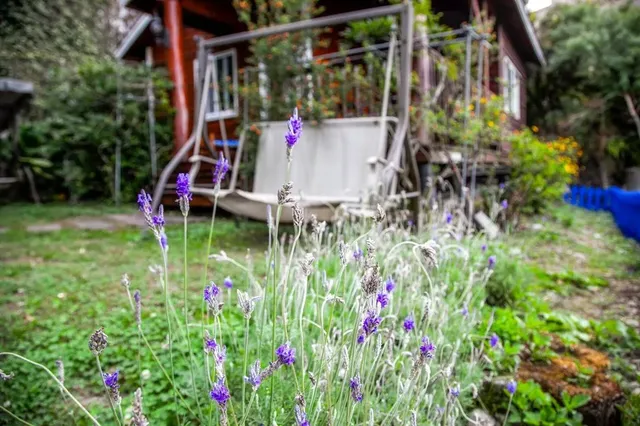 Cloudy Star-Blue Sky Garden-Two-Bedroom Cabin-7
