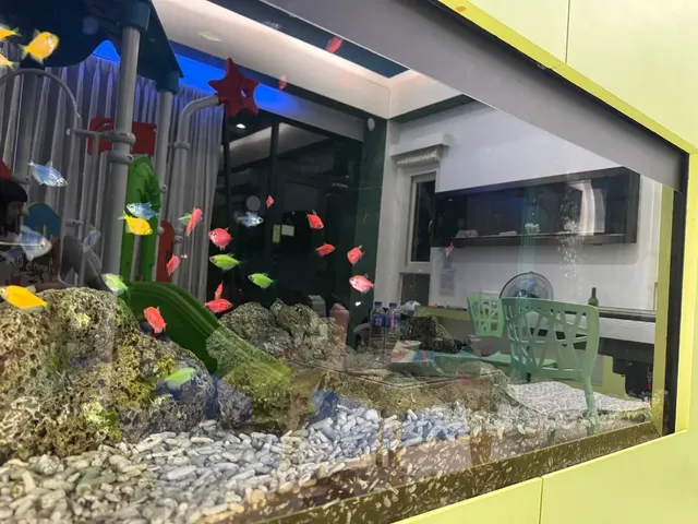 宜蘭 魚窩Villa親子民宿(宜蘭包棟 | 8人包棟|10人包棟|12人包棟|14人包棟)-魚窩Villa親子包棟別墅(10人包棟)-15
