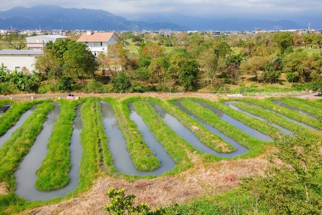宜蘭 魚窩Villa親子民宿(宜蘭包棟 | 8人包棟|10人包棟|12人包棟|14人包棟)-魚窩Villa親子包棟別墅(10人包棟)-8