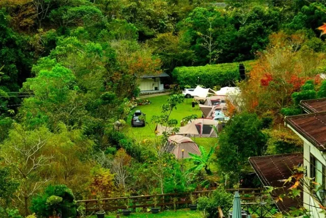 Tumuyi Farm Health resorf-[Tumuyi Campsite] Self-built tent campsite in Zone D-7