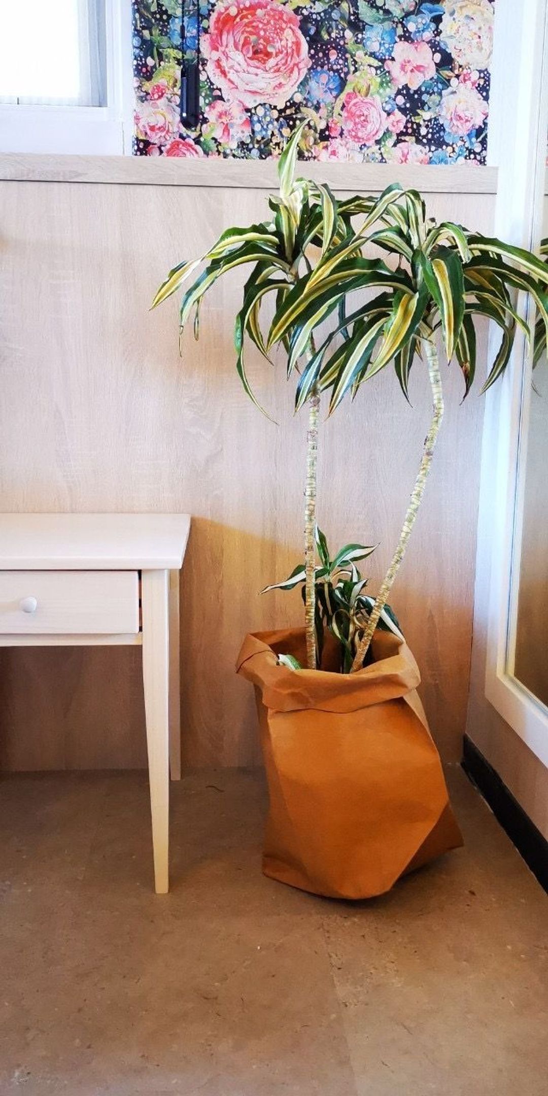 Jasmine Studio