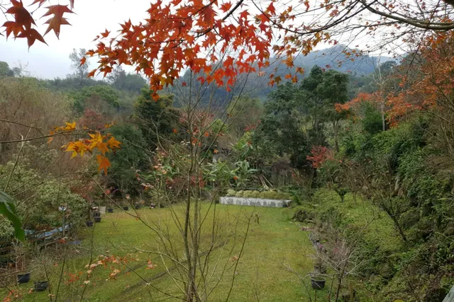 Tumuyi Farm Health resorf-[Tumuyi Campsite] Self-built tent campsite in Zone D-4