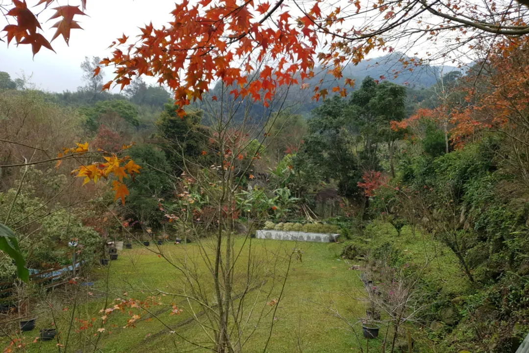 土牧驛健康農莊 | 獨家85折起！頂級原木小木屋、清澈溪流戲水、深山森林浴