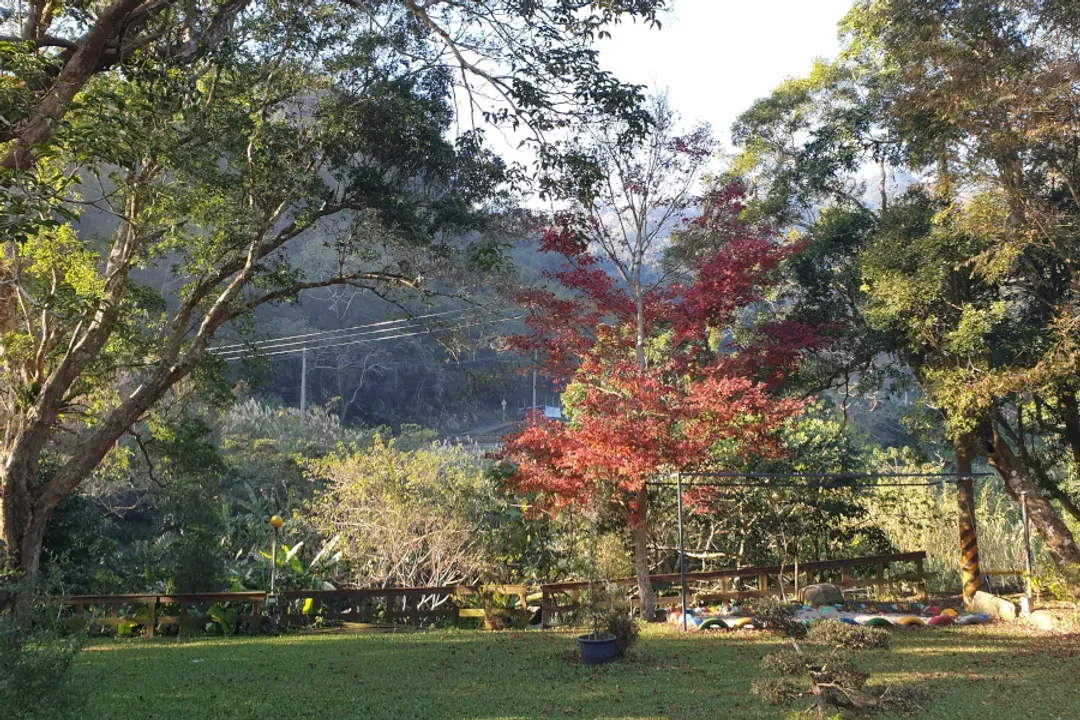 土牧驛健康農莊 | 獨家85折起！頂級原木小木屋、清澈溪流戲水、深山森林浴